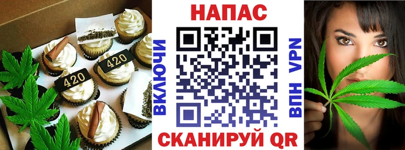 Купить где  Новороссийск  Canna-Cookies конопля 